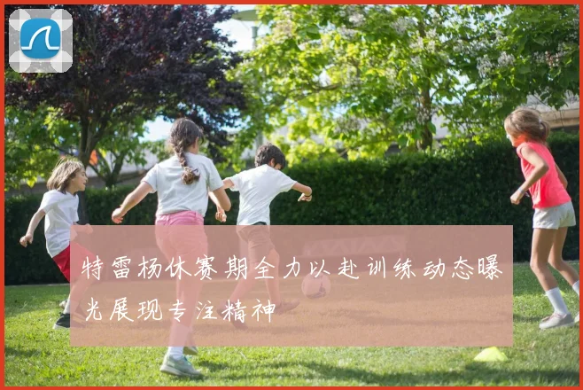 特雷杨休赛期全力以赴训练动态曝光展现专注精神